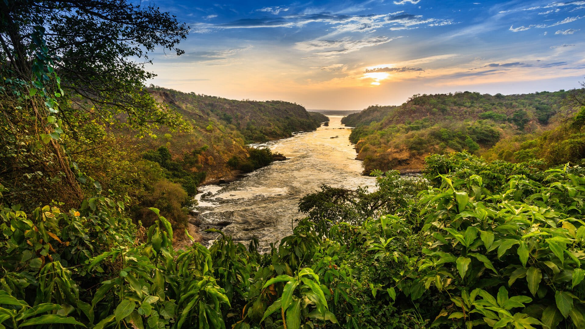 African safari landscape at golden hour