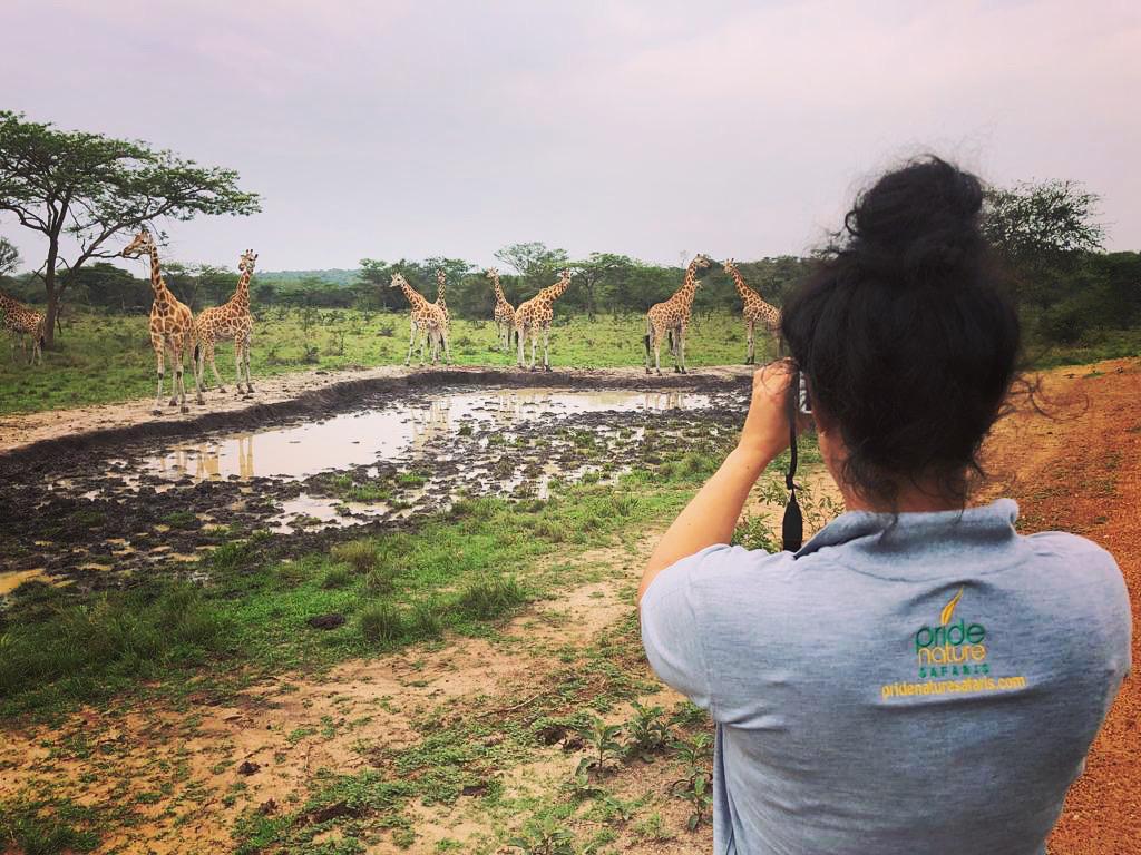 Pride Nature Safaris on safari